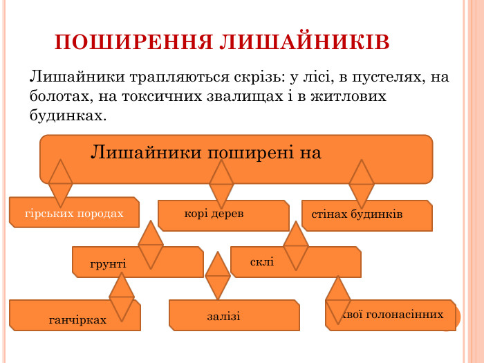 ПОШИРЕННЯ ЛИШАЙНИКІВЛишайники трапляються скрізь: у лісі, в пустелях, на болотах, на токсичних звалищах і в житлових будинках. Лишайники поширені нагірських породахкорі деревстінах будинків грунтіскліганчіркахзалізіхвої голонасінних