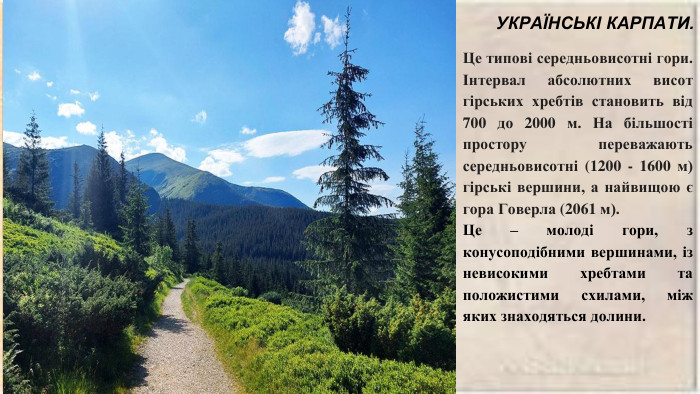 Це типові середньовисотні гори. Інтервал абсолютних висот гірських хребтів становить від 700 до 2000 м. На більшості простору переважають середньовисотні (1200 - 1600 м) гірські вершини, а найвищою є гора Говерла (2061 м). Це – молоді гори, з конусоподібними вершинами, із невисокими хребтами та положистими схилами, між яких знаходяться долини. УКРАЇНСЬКІ КАРПАТИ.