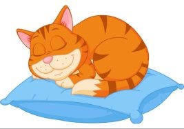 https://cdn2.vectorstock.com/i/1000x1000/36/61/cat-cartoon-sleeping-on-a-pillow-vector-13583661.jpg