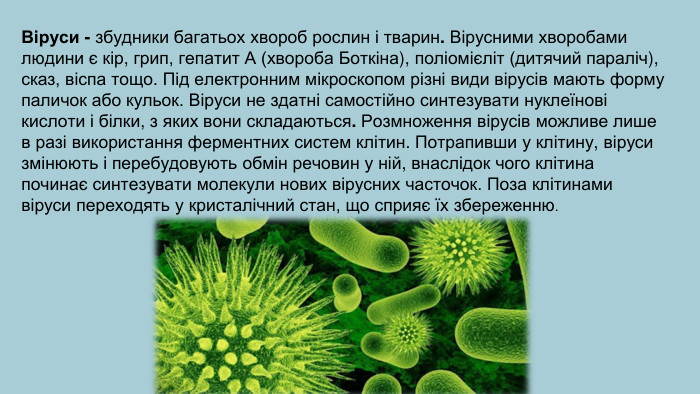 . Віруси - збудники багатьох хвороб рослин і тварин. Вірусними хворобами людини є кір, грип, гепатит А (хвороба Боткіна), поліомієліт (дитячий параліч), сказ, віспа тощо. Під електронним мікроскопом різні види вірусів мають форму паличок або кульок. Віруси не здатні самостійно синтезувати нуклеїнові кислоти і білки, з яких вони складаються. Розмноження вірусів можливе лише в разі використання ферментних систем клітин. Потрапивши у клітину, віруси змінюють і перебудовують обмін речовин у ній, внаслідок чого клітина починає синтезувати молекули нових вірусних часточок. Поза клітинами віруси переходять у кристалічний стан, що сприяє їх збереженню.