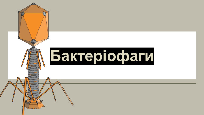 Бактеріофаги