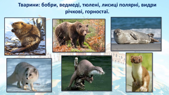 Тварини: бобри, ведмеді, тюлені, лисиці полярні, видри річкові, горностаї.