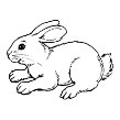 Результат пошуку зображень за запитом "rabbit images for coloring"