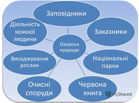http://images.myshared.ru/19/1221028/slide_32.jpg
