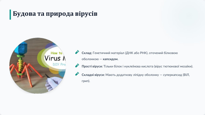 Будова та природа вірусів. Склад: Генетичний матеріал (ДНК або РНК), оточений білковою оболонкою — капсидом. Прості віруси: Тільки білок і нуклеїнова кислота (вірус тютюнової мозаїки). Складні віруси: Мають додаткову ліпідну оболонку — суперкапсид (ВІЛ, грип).