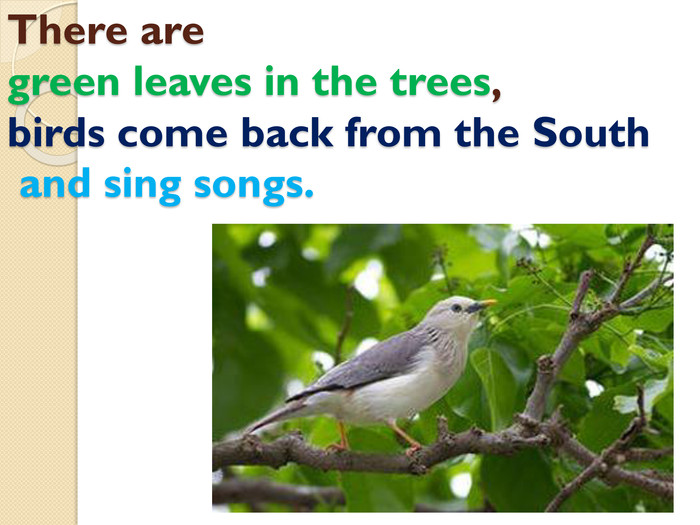 There are green leaves in the trees, birds come back from the South and sing songs.style.colorfillcolorfill.type