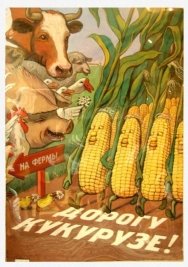 Картинки по запросу кукуруза источник изобилия