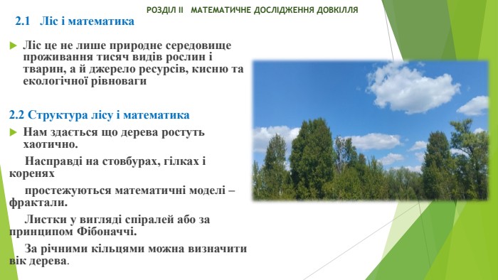  РОЗДІЛ ІІ МАТЕМАТИЧНЕ ДОСЛІДЖЕННЯ ДОВКІЛЛЯЛіс це не лише природне середовище проживання тисяч видів рослин і тварин, а й джерело ресурсів, кисню та екологічної рівноваги 2.2 Структура лісу і математика. Нам здається що дерева ростуть хаотично. Насправді на стовбурах, гілках і коренях простежуються математичні моделі – фрактали. Листки у вигляді спіралей або за принципом Фібоначчі. За річними кільцями можна визначити вік дерева.2.1 Ліс і математика
