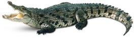 Картинки по запросу крокодил