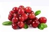 http://harchi.info/files/images/images/761-%D1%81ranberries.jpg