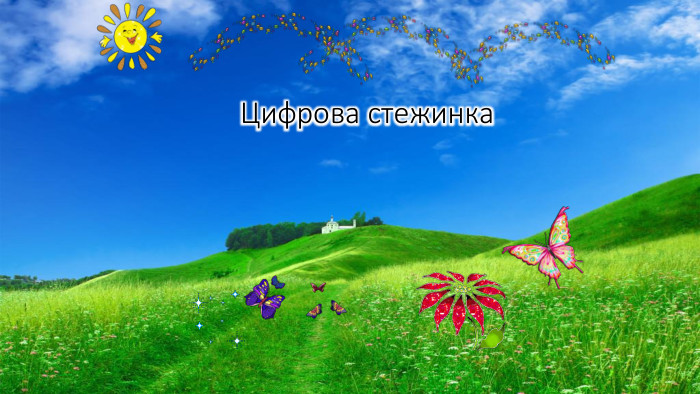 Цифрова стежинка