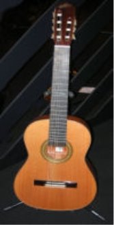 http://upload.wikimedia.org/wikipedia/commons/thumb/d/dc/Seven-string-guitar.jpg/100px-Seven-string-guitar.jpg