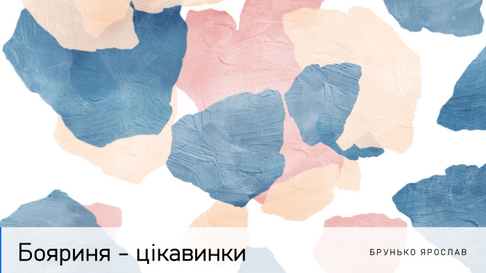Бояриня - цікавинки. Брунько Ярослав