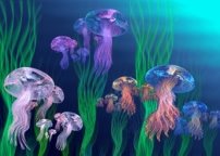 Результат пошуку зображень за запитом "зображення  медузи"