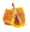 Картинки по запросу ілюстрація мед