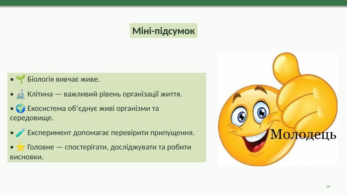 Міні-підсумок• 🌱 Біологія вивчає живе.• 🔬 Клітина — важливий рівень організації життя.• 🌍 Екосистема об’єднує живі організми та середовище.• 🧪 Експеримент допомагає перевірити припущення.• ⭐ Головне — спостерігати, досліджувати та робити висновки.14
