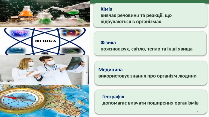 Хіміявивчає речовини та реакції, що відбуваються в організмах. Фізикапояснює рух, світло, тепло та інші явища. Географіядопомагає вивчати поширення організмів. Медицинавикористовує знання про організм людини4