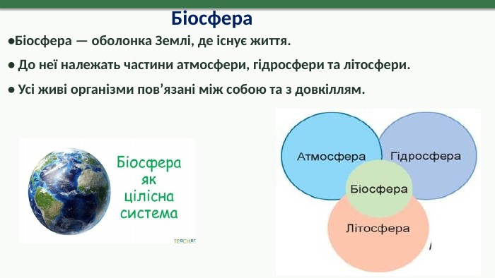 Біосфера•Біосфера — оболонка Землі, де існує життя.• До неї належать частини атмосфери, гідросфери та літосфери.• Усі живі організми пов’язані між собою та з довкіллям.8