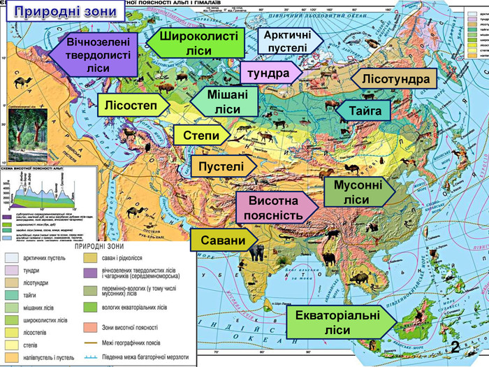Географические зоны евразии. Карта природных зон Евразии. Природные зоны на материке Евразия на карте. Климат природных зон Евразии. Природные зоны Евразии 4.
