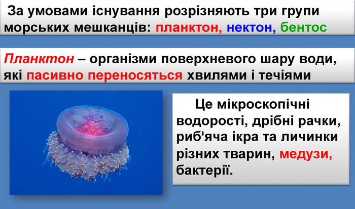  За умовами існування розрізняють три групи морських мешканців: планктон, нектон, бентос. Планктон – організми поверхневого шару води, які пасивно переносяться хвилями і течіями Це мікроскопічні водорості, дрібні рачки, риб'яча ікра та личинки різних тварин, медузи, бактерії.