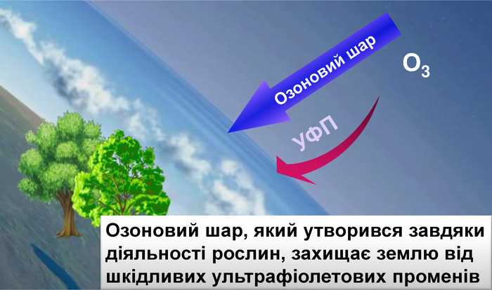 Озоновий шар. УФПО3 Озоновий шар, який утворився завдяки діяльності рослин, захищає землю від шкідливих ультрафіолетових променів