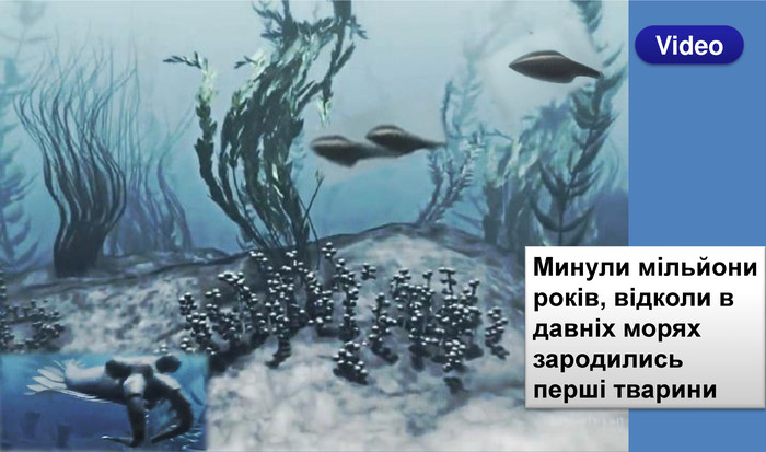 Минули мільйони років, відколи в давніх морях зародились перші тварини. Video