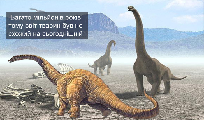  Багато мільйонів років тому світ тварин був не схожий на сьогоднішній