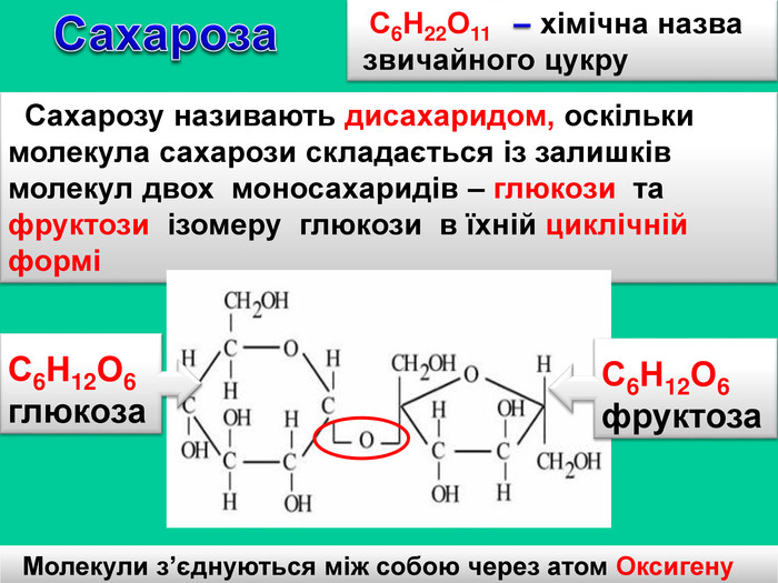 Сахароза. С6 Н22 О11 – хімічна назва звичайного цукру Сахарозу називають дисахаридом, оскільки молекула сахарози складається із залишків молекул двох моносахаридів – глюкози та фруктози ізомеру глюкози в їхній циклічній форміМолекули з’єднуються між собою через атом Оксигену. С6 Н12 О6глюкоза. С6 Н12 О6фруктозаr