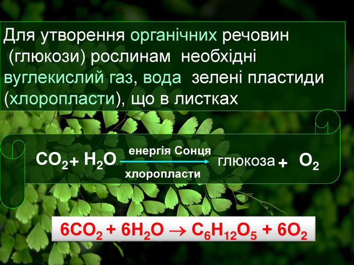 Для утворення органічних речовин (глюкози) рослинам необхідні вуглекислий газ, вода зелені пластиди (хлоропласти), що в листках. СО2+Н2 Оенергія Сонцяхлоропласти глюкоза+О2 6 СО2 + 6 Н2 О  С6 Н12 О5 + 6 О2