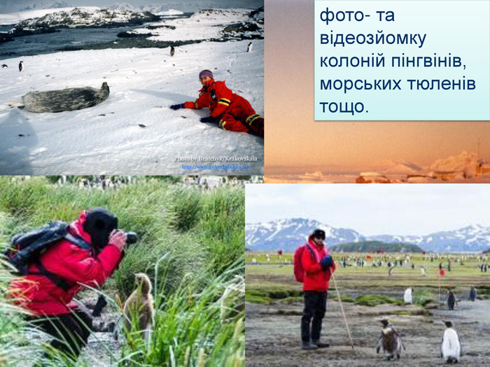 фото- та відеозйомку колоній пінгвінів, морських тюленів тощо.