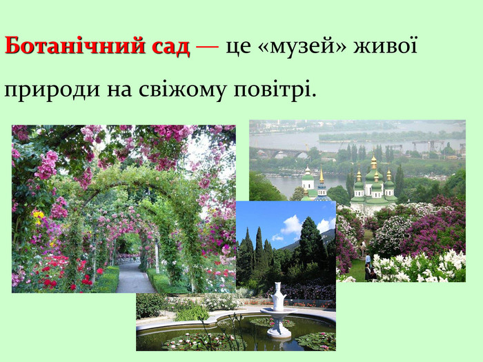 Ботанічний сад — це «музей» живої                    природи на свіжому повітрі. 