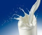 Бета-казеин, молоко А2 и генетика: миф или реальность