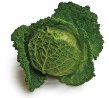 http://step-by-step-cook.co.uk/images/vegetables/savoy/savoy.jpg