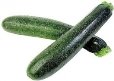 http://www.lesliebeck.com/images/featured_foods/zucchini.jpg