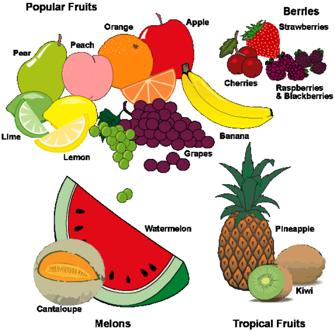 http://www.ncstatefair.org/2012/competitions/webgraphic/HH1-101-22/2319_EMILY_SCOTTHH022/fruits%20categories.gif