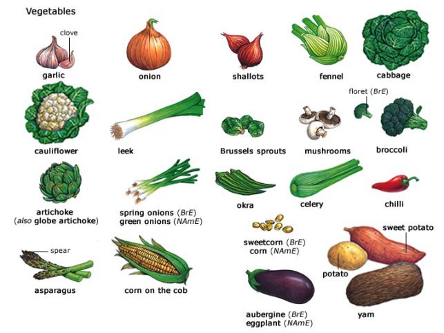 http://englishwell.info/uploads/taginator/Nov-2012/vegetables-in-english-list.jpg