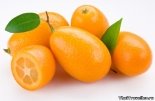 http://thaitraveller.ru/tropical_fruits/kumkvat_fruit_3.jpg