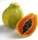 http://www.phytology.ru/images/stories/fruit/tropicheskie/papaya2.jpg