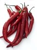 http://www.chilipeppermadness.com/images/cayenne-pepper.jpg