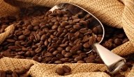 http://www.slowfoodcascais.com/wp-content/uploads/2012/11/coffee-beans2.jpg
