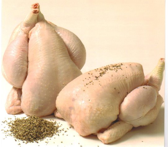 http://theculinarycook.com/wp-content/uploads/2012/04/poultry.jpg