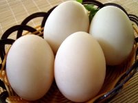 http://www.khiewchanta.com/images/salty-ducks-eggs.jpg