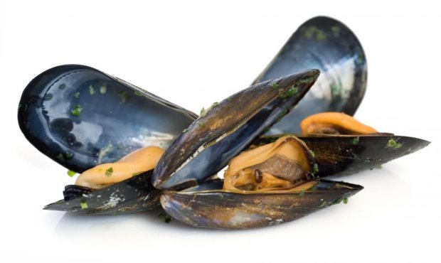 http://images.wisegeek.com/mussels.jpg