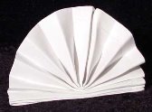 The Standing Napkin Fan Fold