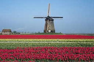 Нидерландская Голландия