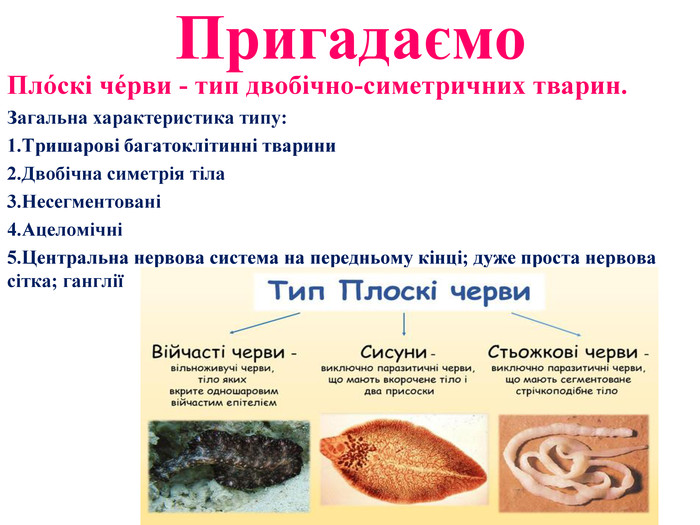 Реферат: Круглі черви паразити рослинного і тваринного організмів