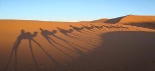 Пустыня Сахара фото, картинки 