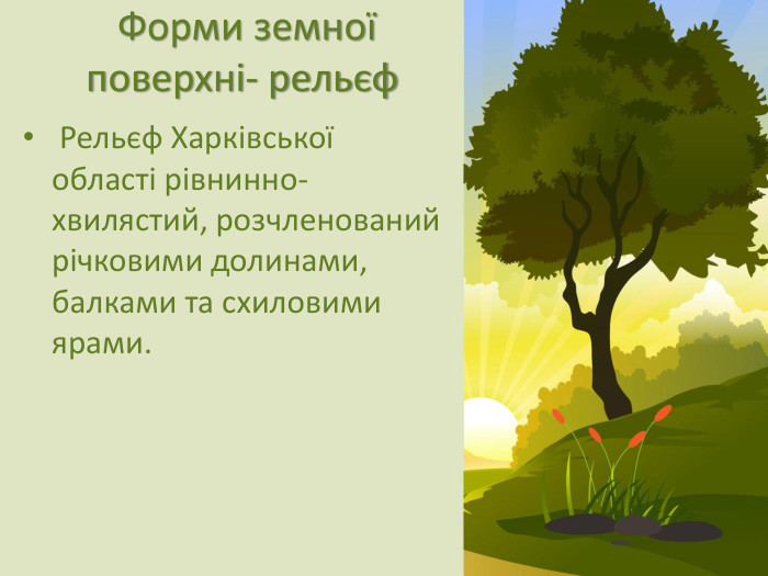  Форми земної поверхні- рельєф Рельєф Харківської області рівнинно-хвилястий, розчленований річковими долинами, балками та схиловими ярами.