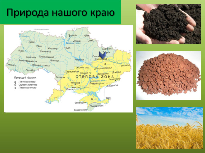 Природа нашого краю