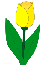 Картинки по запросу малюнок тюльпана